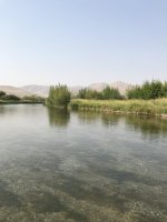 IMG_1643.jpeg IMG_1643.jpeg
