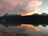 IMG_7687.jpeg IMG_7687.jpeg
