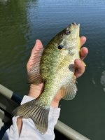 IMG_1776.jpeg