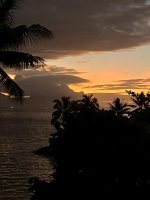 IMG_4878.jpeg