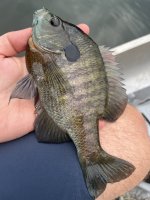 IMG_1854.jpeg