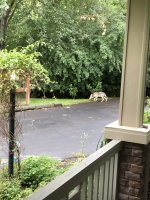 IMG_7695.jpeg
