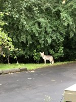 IMG_7697.jpeg