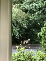 IMG_7698.jpeg