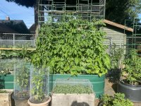 IMG_5936.jpeg
