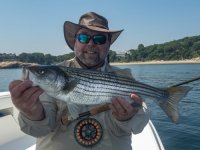 A03Striper2cP6180025.jpg A03Striper2cP6180025.jpg