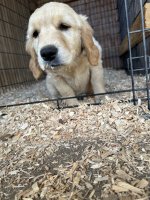IMG_0180.jpeg