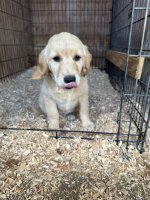IMG_0182.jpeg