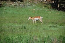 DSC_0233.jpeg