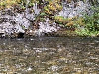 IMG_2065.jpeg
