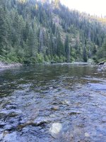 IMG_3520.jpeg