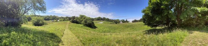B01Meadows8456.jpg B01Meadows8456.jpg