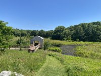 A01PondMarshBlind8463.jpg A01PondMarshBlind8463.jpg