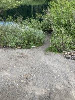 IMG_3199.jpeg IMG_3199.jpeg