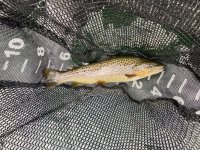 IMG_3205.jpeg IMG_3205.jpeg