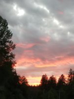 20240701_211155.jpg