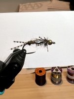 IMG_4904.jpeg IMG_4904.jpeg