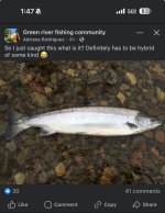 IMG_7540.jpeg
