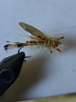 IMG20240703153303.jpg