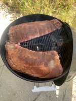 IMG_2828.jpeg