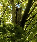 IMG_7734.jpeg