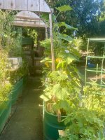 IMG_5947.jpeg IMG_5947.jpeg