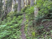 IMG_1648.JPG IMG_1648.JPG
