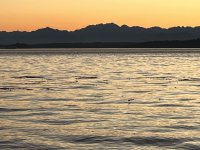 IMG_2068.jpeg