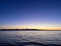 IMG_2070.jpeg