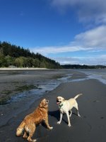 IMG_7051.jpeg