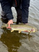 IMG_4981.jpeg