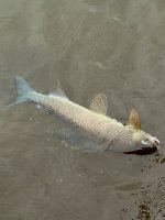 IMG_4983.jpeg