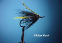 Flicker Flas.jpg