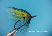 Halliday's Sprite.jpg
