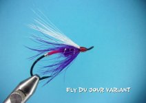 Fly Du Jour Variant.jpg