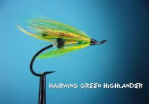 Hairwing Green Highlander.jpg
