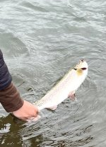 IMG_4993.jpeg