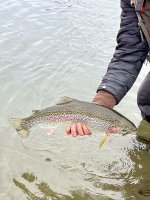 IMG_4997.jpeg