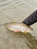 IMG_5002.jpeg