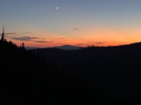 IMG_7381.jpeg IMG_7381.jpeg