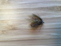 IMG_0498.JPG