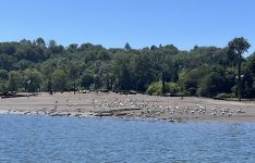 IMG_2100.jpeg