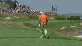 IMG_2126.gif