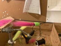 IMG_5192.jpeg