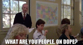 04dc3fbe-cab0-4182-be98-587ca55bc751_text.gif
