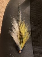 IMG_5199.jpeg