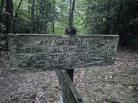 IMG_7782.jpeg