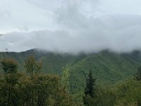 IMG_7784.jpeg