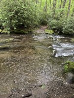 IMG_7840.jpeg