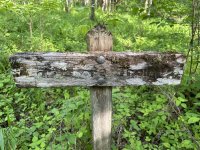 IMG_7826.jpeg